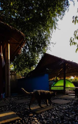 Mapping Hostel – Chiang Mai, IA