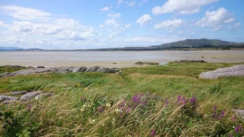 Umgebung, The Rockhouse - Cosy stone built Thatch Cottage in Dunglow