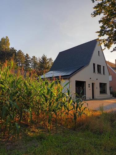 B&B Snelleghem, Snellegem