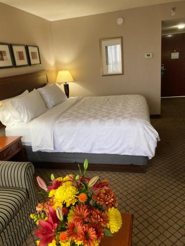 Holiday Inn Cincinnati-Eastgate, an IHG Hotel