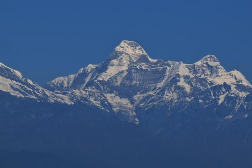 Captains Paradise At Mukteshwar Hill Station