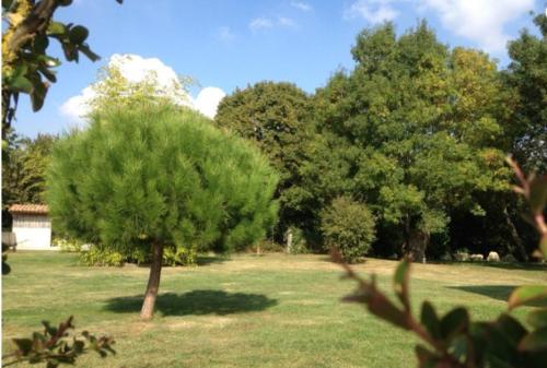Gîte Les Frênes gîte à louer Granzay-Gript