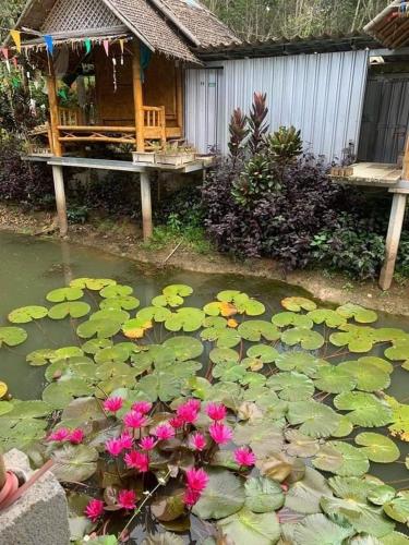 Nakhon Si Ban Na Homestay photo