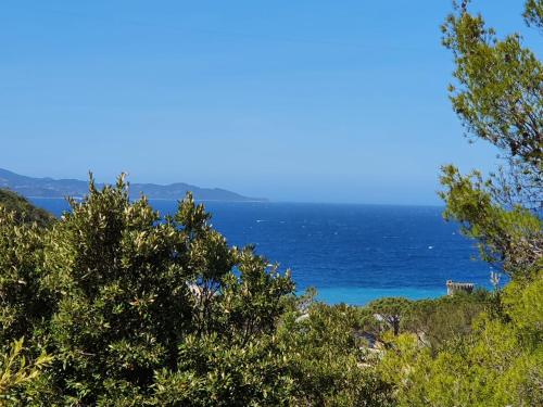 Les Gîtes du Cap Corse - Location saisonnière - Nonza