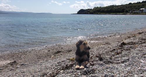 沙灘, Auchnabreac Cottage in 卡羅代爾