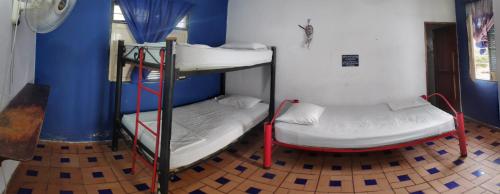 hostal alquimista