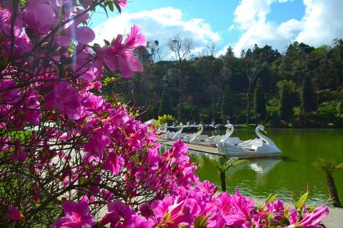 Restaurant, GOLDEN RESORT Gramado in Gramado