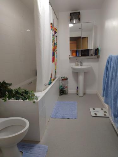1 bedroom flat, 5 minutes walk to city centre, 2 minutes to underground, 1 minute to bus and 15 minu