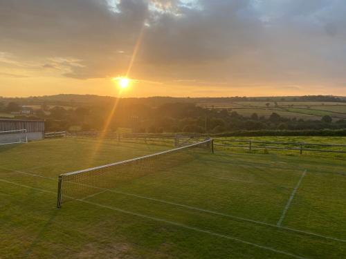 Dexter Penryn - image 14