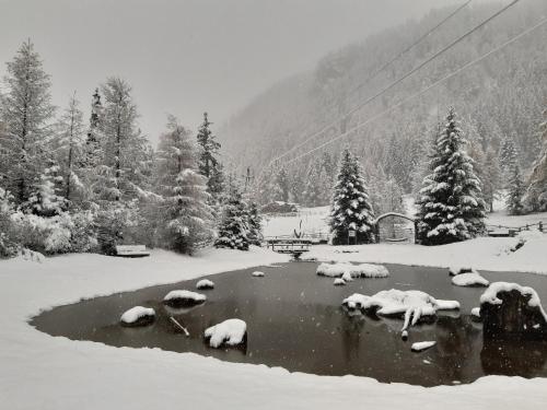 Bergerhof - image 5