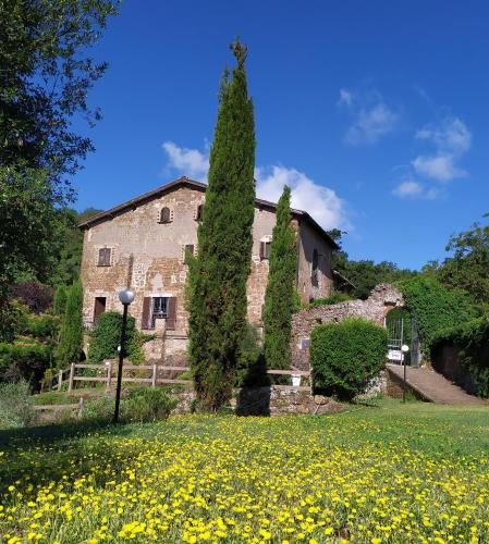 外部景觀, B&B IL Giardino del Borgo in 希維塔卡斯特拉納