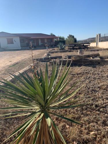 casa peninsula caspe 2 gîte à louer Chiprana