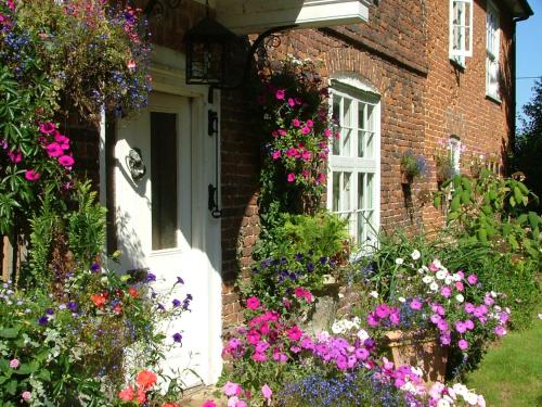 Molland Manor House Self catering (10 bedrooms 9 bathrooms) in Wingham