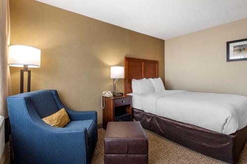 Comfort Inn & Suites at Maplewood - image 2