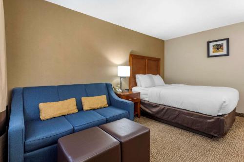 Comfort Inn & Suites at Maplewood - image 11