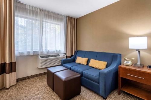 Comfort Inn & Suites Montpelier-Berlin