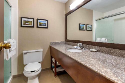 Comfort Inn & Suites at Maplewood - image 8
