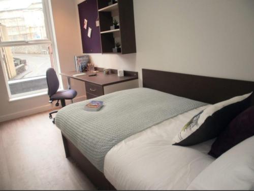 Comfortable Rooms and Apartments, BANGOR - SK