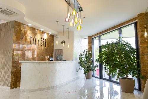 TiAdele Hotel - image 14