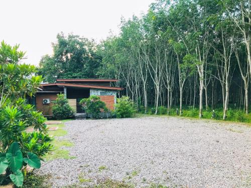 Saipo Homestay - 전망