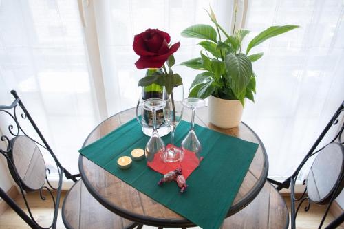 Chroma Italy - Chroma Octho - image 4