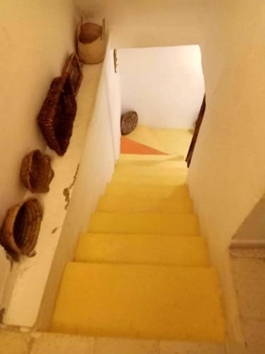 2 bedrooms apartement with city view terrace and wifi at Tunis 4 km away from the beach photo 3