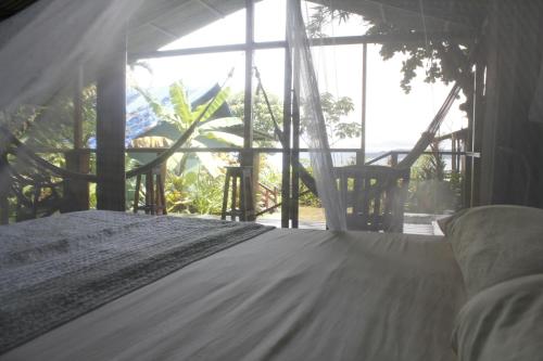 Corcovado Forest Rental and Tours Drake Bay