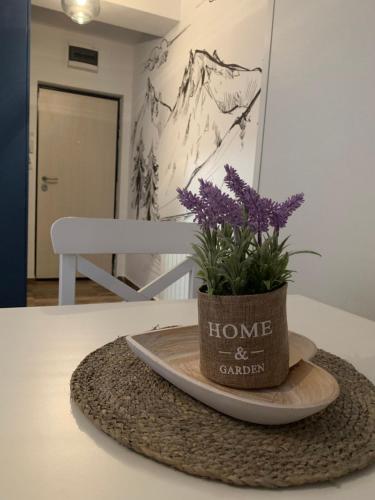 Studio apartman OLAF