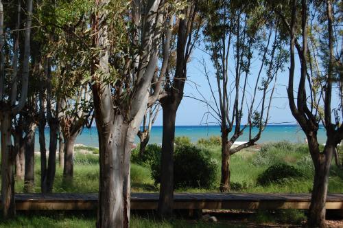 Casa Rural Forn del Sitjar - image 6