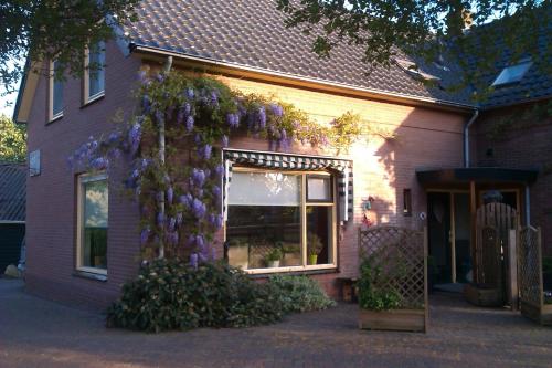  b&b de Vlinder, Pension in Hardenberg bei Mander