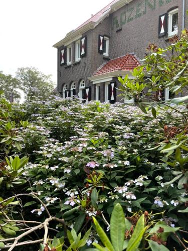 Villa Rozenhof - main image