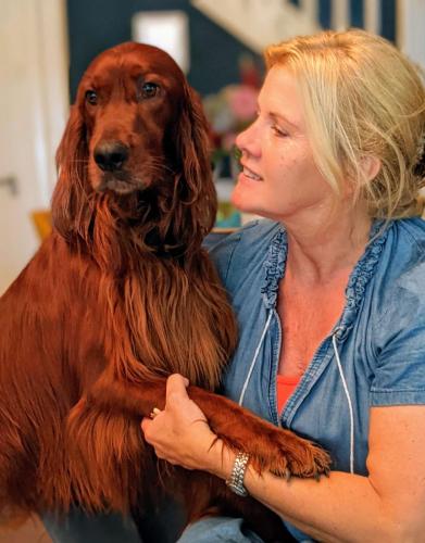 Villa Rozenhof - image 4