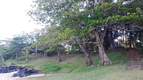 Modern Apartment with View in Souillac - 45 sqm + Balcony