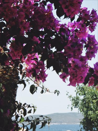 VILLA MARGARIT Boutique Hotel – Saranda, OR