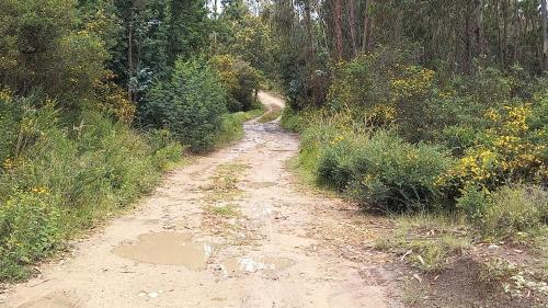 Glamping Altos de Quiluva