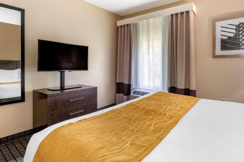 Comfort Inn & Suites - image 13