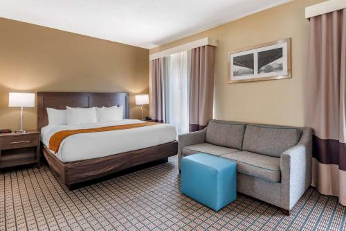 Comfort Inn & Suites - image 8