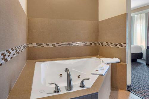 Comfort Inn & Suites Cincinnati Uptown Clifton - image 14