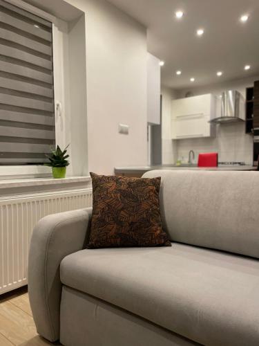 MISVEST Tomasz Klimatyzacja in Zabrze