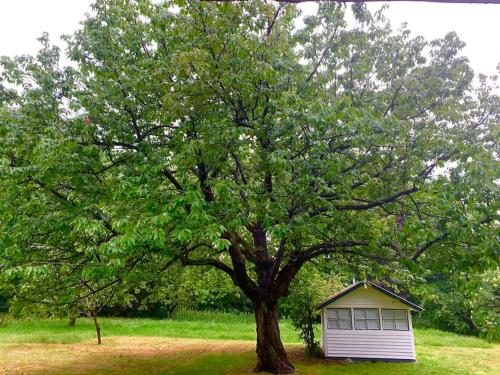 Domein Walhalla: volledige villa met 4 SLK gîte à louer Bruges