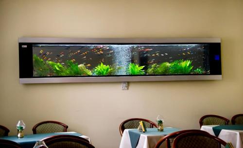 Hotel Brasov - main image