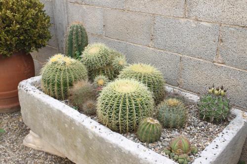 Villa Li Putti Luxury B&B - image 5