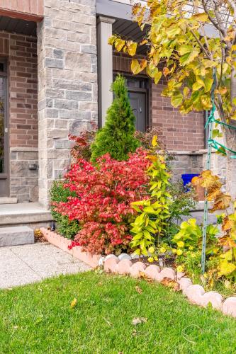 Three-Bedroom Townhouse