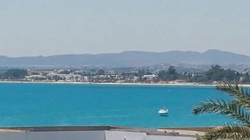 Dar Kaabar Hammamet