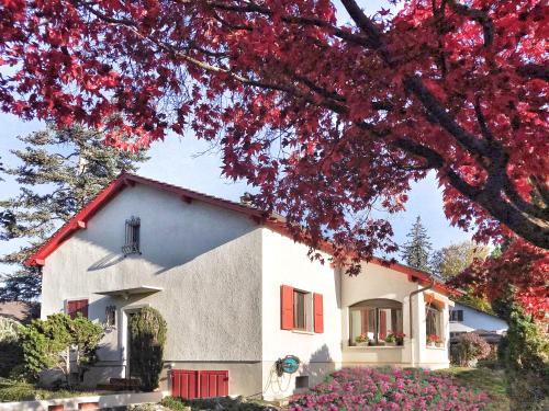 Lindo Lugar - just a 7 minute walk from the airport Geneva