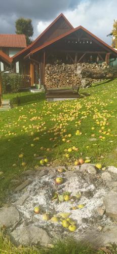 Pod Modrzewiami Pod Modrzewiami