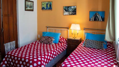 Cane B&B, Montevideo (fotografie 11)