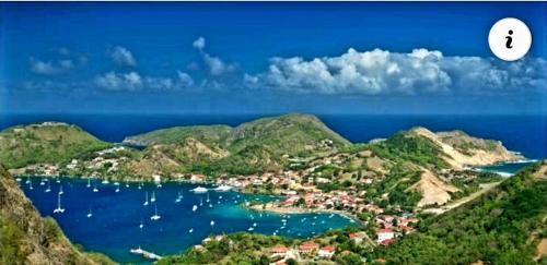 STUDIO LAURIER - 4 pers - proche bourg -1- in Terre-de-Haut