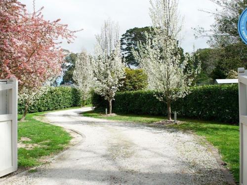 Robin Hill Manor - rambling retreat & tennis court