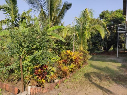 Ekant Farmhouse